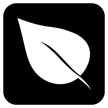 Bitki yaprak düz kare vektör simgesi