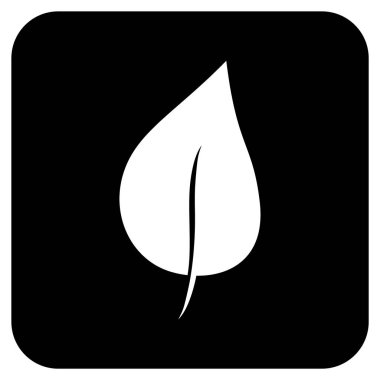 Bitki yaprak düz kare vektör simgesi