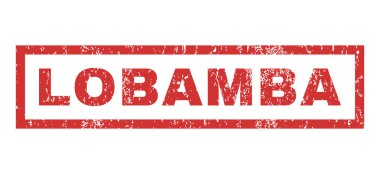 Lobamba pencere boyutu