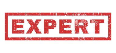 Uzman pencere boyutu