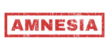 Amnezi pencere boyutu