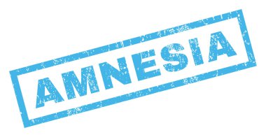 Amnezi pencere boyutu