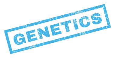 Genetik damga