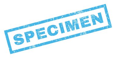 Numune pencere boyutu