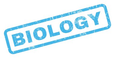 Biyoloji pencere boyutu