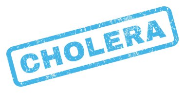 Kolera pencere boyutu