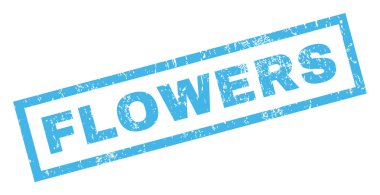 Çiçek pencere boyutu