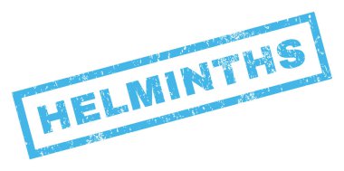 Archlar pencere boyutu