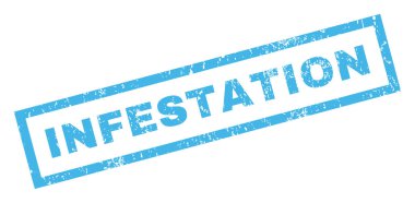 İstila pencere boyutu