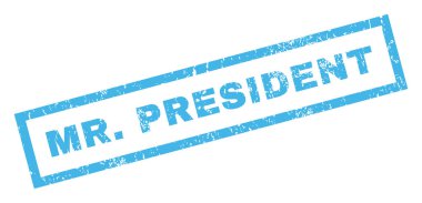 Bay Başkan pencere boyutu