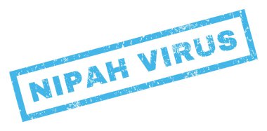 Nipah virüs pencere boyutu