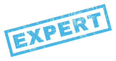 Uzman pencere boyutu