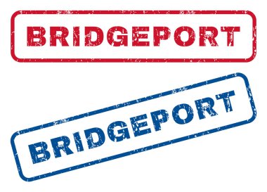 Bridgeport lastik pullar