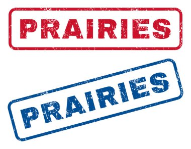 Prairies lastik pullar