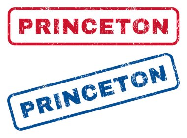 Princeton lastik pullar