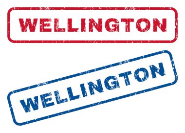 Wellington lastik pullar