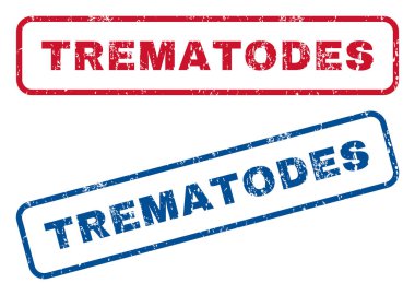 Trematodes lastik pullar