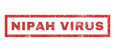 Nipah virüs pencere boyutu