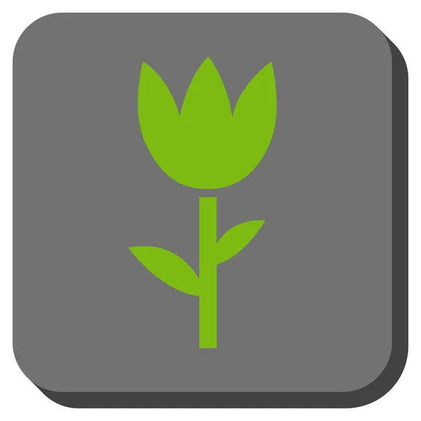 Bouton carré arrondi tulipe — Image vectorielle
