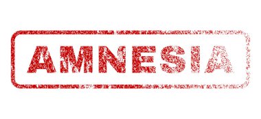 Amnezi pencere boyutu