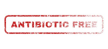 Antibiyotik özgür pencere boyutu