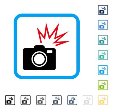 Kamera flaşı vektör simge çerçeveli
