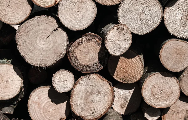 Duvar dolusu odun arka planı