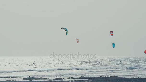 Kite Surfing no Oceano Atlântico, esporte de verão extremo. Ilhas Canárias . — Vídeo de Stock