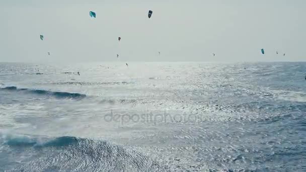 Kite Surfing στον Ατλαντικό Ωκεανό, ακραία καλοκαιρινό άθλημα. Κανάριοι Νήσοι. — Αρχείο Βίντεο