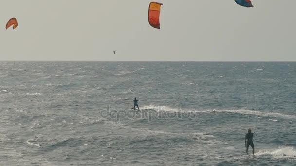 Kite Surfing in Atlantic Ocean, Extreme summer sport. Canary Islands. — Stock Video