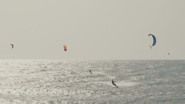 Kite szörfözés az Atlanti-óceán, extrém nyári sport. Kanári-szigetek. — Stock videók