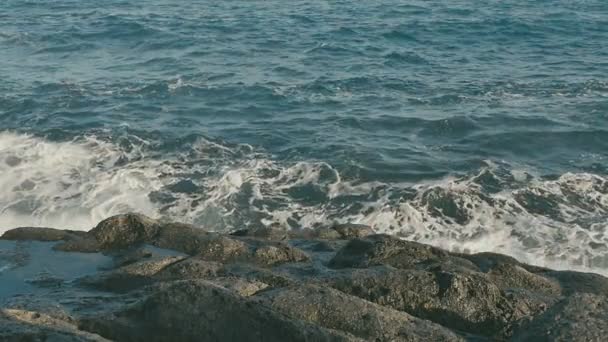 Vagues océaniques s'écrasant sur une plage de pierre volcanique . — Video