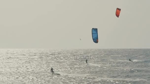 Kite Surfing no Oceano Atlântico, esporte de verão extremo. Ilhas Canárias . — Vídeo de Stock