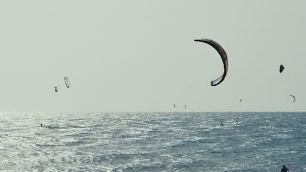 Kite Surfing in Atlantic Ocean, Extreme summer sport. Canary Islands. — Stock Video