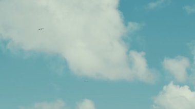 İki deniz kuşları ile yükselen bulutlu gökyüzü mavi