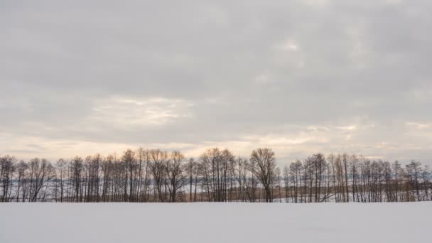 Зимний пейзаж, время полета облаков над деревьями. Timelapse . — стоковое видео