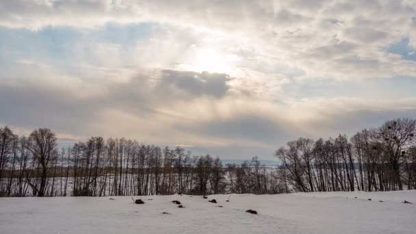 Winterlandschap, timelapse, wolken boven de bomen te vliegen. Timelapse. — Stockvideo