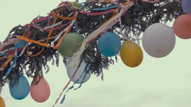 Decorazioni di nozze colorate pendono dall'arco di pino a un matrimonio, Ucraina occidentale . — Video Stock