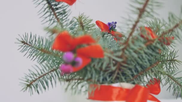 Hermoso árbol de Navidad, decoraciones tradicionales, luces — Vídeos de Stock