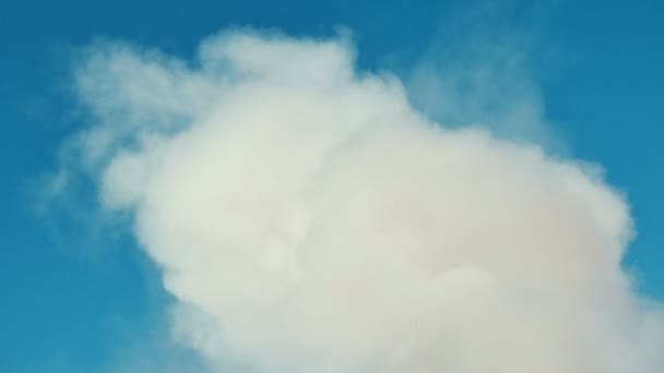 Белый дым или облако на чистом голубом небе. Идеально для фона. Абстрактное понятие . — стоковое видео