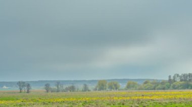 Vahşi sahasında bahar yağmur. Zaman atlamalı.