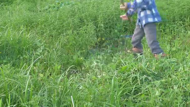 Man mows the green grass using a scythe — Stock Video