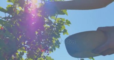 malzeme çekme alanı kızarmış berry ahşap plaka eller genç kadın