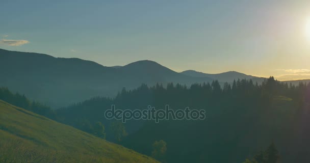 Nascer ou pôr-do-sol nas montanhas. Floresta nas montanhas. Panorama Pinhais bonitos no fundo de altas montanhas . — Vídeo de Stock