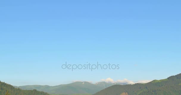 Montañas verdes soleadas. Cielo azul y prado de colinas. Panorámica. Bosque en las montañas. Panorama Hermosos pinos en el fondo de las altas montañas . — Vídeo de stock