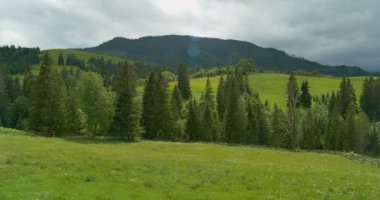 Yeşil dağlar. Bulutlu gökyüzü ve tepeler çayır. Kaydırma. Orman dağlarda. Panorama güzel çam ağaçları yüksek dağlar arka plan üzerinde.