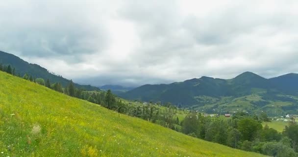 绿色的群山。多云的天空和山草甸。平移。在山上的森林。全景美丽松树上高山的背景. — 图库视频影像