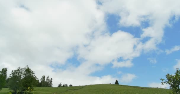 Grüne Berge. Bewölkter Himmel und Hügelwiesen. Schwenken. Wald in den Bergen. panorama schöne Kiefern vor dem Hintergrund der hohen Berge. — Stockvideo