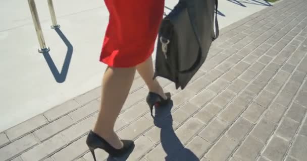 Сексуальные ноги, черные высокие каблуки, прогулки по парку — стоковое видео