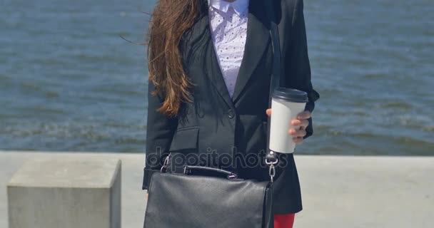 Retrato de hermosa mujer morena caucásica sonrisa — Vídeos de Stock